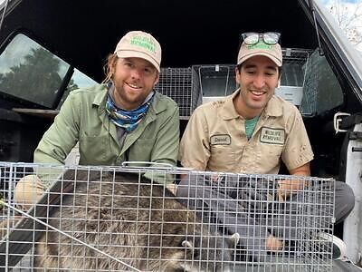 Marietta pest control